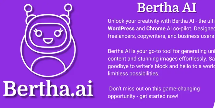 Bertha AI افزونه Bertha AI افزونه