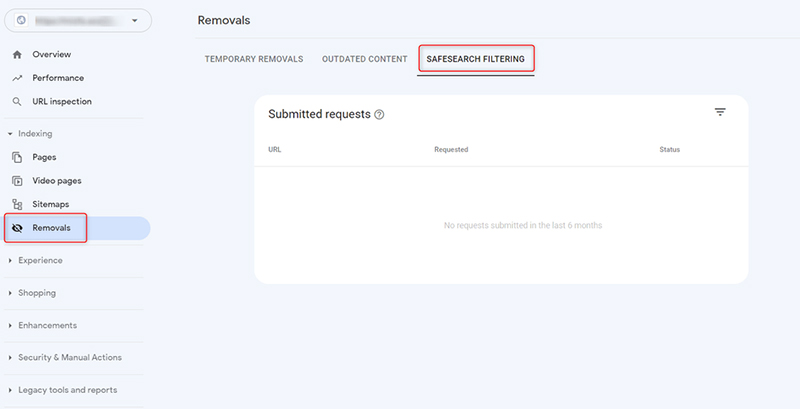 Safesearch Filtering