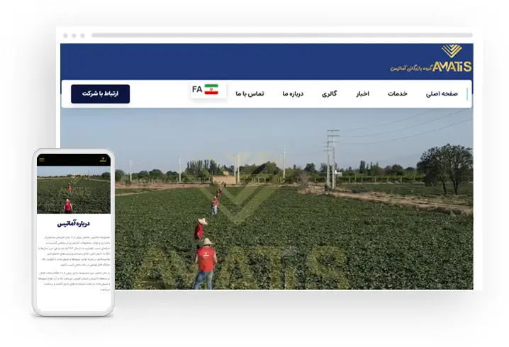 گروه بازرگانی آماتیس