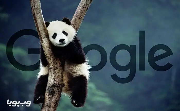 الگوریتم گوگل پاندا الگوریتم گوگل پاندا