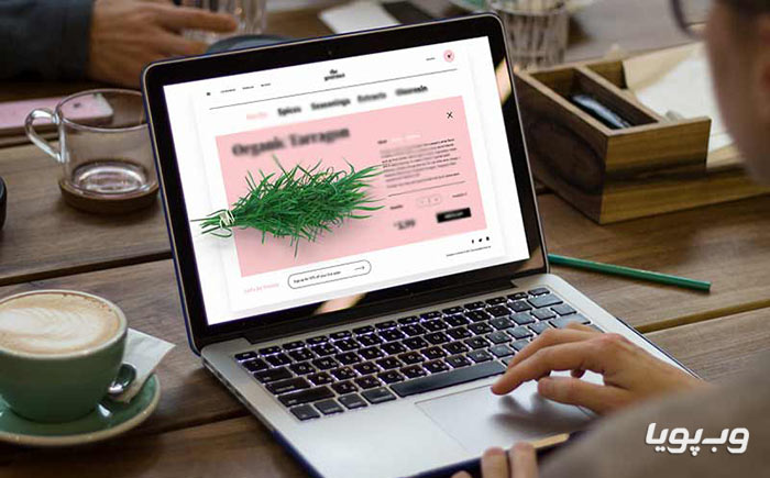 اصول طراحی سایت